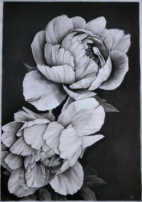 Charcoal Floral Drawing, Flowers Charcoal Drawing, Charcoal Art Flowers, Flower Charcoal Drawing, Dark Flower Drawing, Charcoal Drawing Ideas Inspiration, Pencil Art Drawings Flowers, Black Flowers Drawing, Charcoal Tattoo