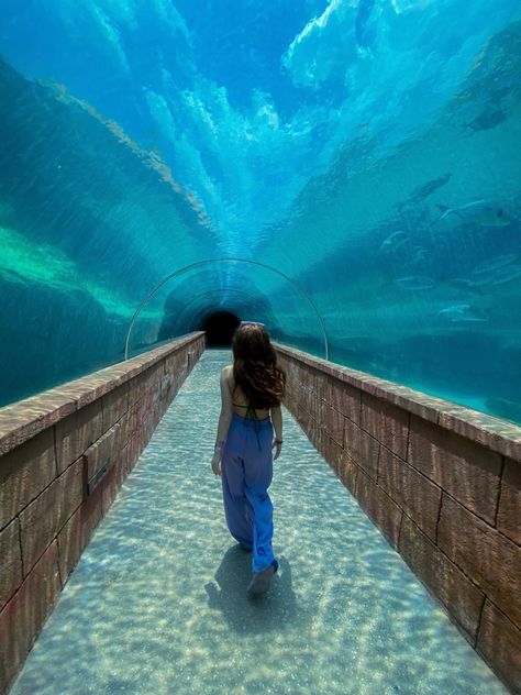 Travel Pic Ideas, Pic Ideas Poses, Atlantis Resort Bahamas, Bahamas Pictures, Underwater Tunnel, Bahamas Outfit, Atlantis Bahamas, Bahamas Travel, Bahamas Vacation