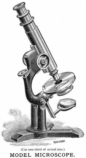 Model microscope Vintage Microscope, Chemistry Art, Pharmacy Design, Object Drawing, Patent Drawing, Microscopes, Antique Illustration, Lab Equipment, Time Tattoos