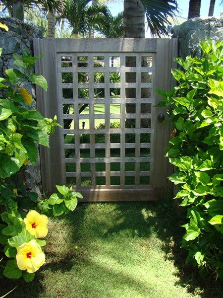 The Power of a Garden Portal  Garden Design Calimesa, CA Simple Garden Gate, Garden Portal, Simple Landscape Design, Garden Gates And Fencing, Garden Gate Design, Simple Garden, Peonies Garden, Fence Gate, Garden Gate