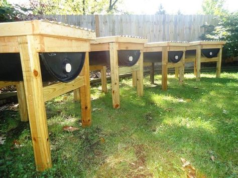 Picture of These hives will last a lifetime and my kids will be harvesting honey from them once they're adults... Top Bar Bee Hive, Bee Hives Diy, Harvesting Honey, Top Bar Hive, House Design Interior, Raising Bees, Bee Supplies, Backyard Beekeeping, Honey Bee Hives