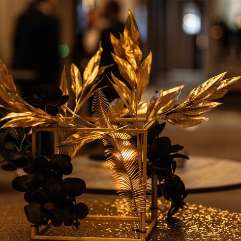 Luxe Black & Gold styling for the @australianapartmentadvocacy Awards Gala Dinner last week ✨ Venue @rydgesmelbourne Photography @scottandcocreative #corporateevents #corporateawards #galadinner #melbourneevents #eventstyling Black And Gold Black Tie Event, Black And Gold Event Decor, Black Golden Theme Decoration, Red Black And Gold Gala Decor, Award Dinner Decor Corporate Events, Black And Gold Corporate Event, Gala Decorations, Corporate Awards, Corporate Events Decoration