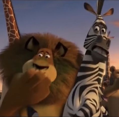 Madagascar Movie Funny, Madagascar Meme, Alex Madagascar, Madagascar Fanart, Man Pfp, Il Re Leone, Spongebob Funny, Goofy Pictures, Cartoon Memes