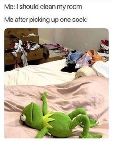 Funny Clean, Kermit Funny, Cleaning My Room, 9gag Funny, Meme Comics, Clean Memes, True Memes, Best Funny Jokes, Clean Humor