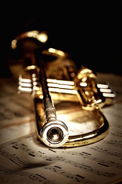 *Trumpet Trumpet Wallpaper Iphone, Trumpet Aesthetic Wallpaper, Trumpet Pictures, Trumpet Wallpaper, Trumpet Aesthetic, Trumpet Painting, Trumpet Art, Iphone Wallpaper Bright, Trumpet Instrument