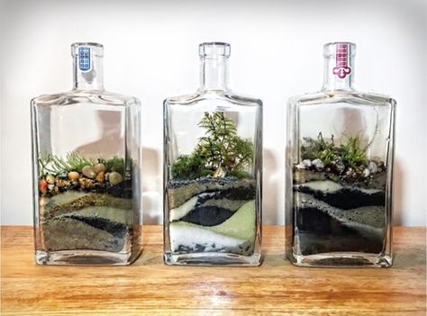 Build A Terrarium, Unique Terrarium, Large Terrarium, Bottle Terrarium, Plant Display Ideas, Open Terrariums, Beautiful Terrariums, Terrarium Containers, Robot Illustration