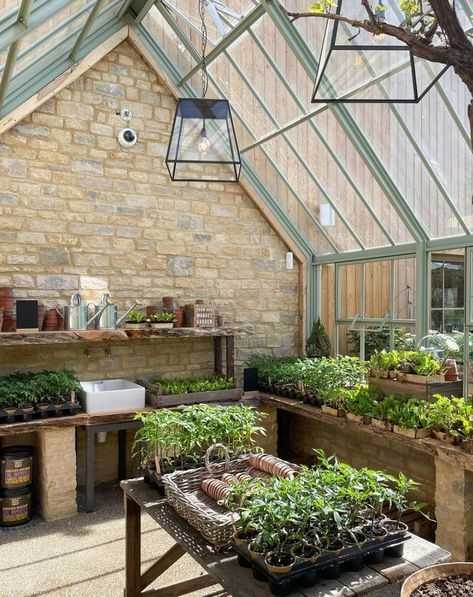 Greenhouse Design, Lydia Elise Millen, Greenhouse Shed, Greenhouse Interiors, Home Greenhouse, Backyard Greenhouse, Greenhouse Plans, Garden Greenhouse, Greenhouse Gardening