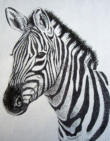 Zebra Stippling by Ashley Odell on ARTwanted Zebra Drawing Sketches Pencil, Stippling Drawing Animals, Zebra Sketch Pencil, Dot Art Sketch, Zebra Sketch, Zebra Tattoo, Ako Kresliť, Zebra Drawing, Stippling Drawing