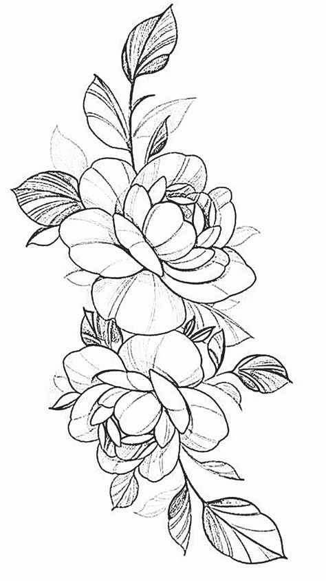 Easy Flower Drawings Step By Step, Emboirdery Pattern, Flower Outline Art, Flower Stencil Tattoo, Peacock Drawing With Colour, Tiktok Drawings, Tattoo Papillon, Dragon Tattoo Stencil, Flower Tattoo Stencils