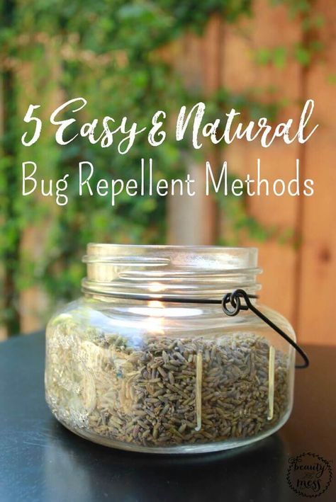 Patio Bug Repellent Ideas, Patio Bug Repellent, Diy Bug Repellent For House, Diy Outdoor Mosquito Repellent, Diy Bug Repellent For Porch, How To Keep Bugs Off Porch, Knat Repellant Outdoor, Bug Zapper Outdoor, Outdoor Bug Repellent Ideas