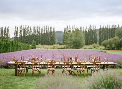 Elegant Lavender Wedding Theme with Organic Fall Accents Lavender Weddings, Lavender Farm Wedding, Lavender Wedding Theme, Seattle Wedding Venues, Wedding Reception Dinner, Field Wedding, Enchanting Wedding, Farm Wedding Venue, Enchanted Wedding