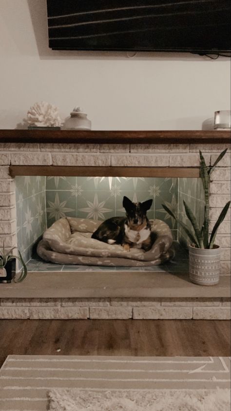 Dog Fireplace, Dog Nooks, Pet Nook, Cozy Dog Crate, Tv Stand Dog Bed, Dog Bed In Fireplace, Dog Bed Fireplace, Pet Bed In Fireplace, Dog Bed Bookshelf