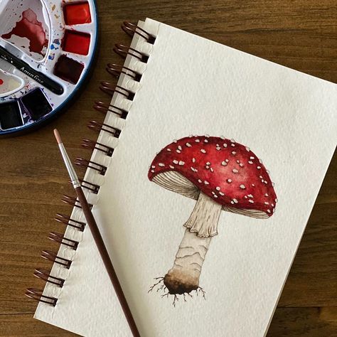 Fungi Drawings, Mushroom Tattoo Watercolor, Fly Agaric Tattoo, Watercolour Mushroom Tutorial, Fly Agaric Mushroom Tattoo, Fly Agaric Drawing, Mushroom Biro Drawing, Fungi Illustration, Fungi Art