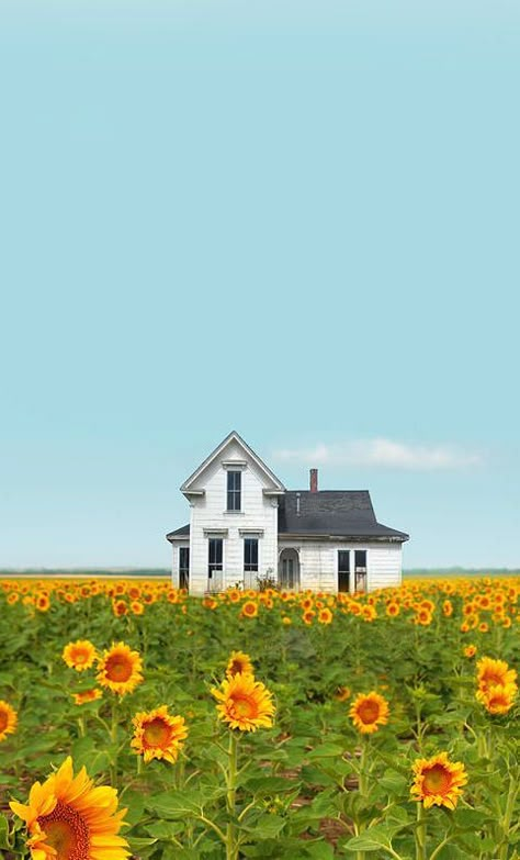 Friday Favorites - Living Vintage Country Fields, Country Scenery, Farm Houses, Sunflower Field, Old Farm Houses, Farms Living, Down On The Farm, Sunflower Fields, Old Farmhouse