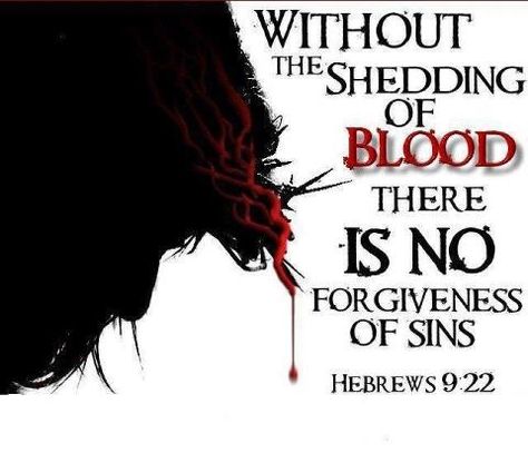 **Amen!- thank you Jesus for your precious blood which was poured out for the forgiveness of MY sins!! Thank you for loving us before we were formed in our mothers wombs for this sacrifice.. Hebrews 9, For God So Loved The World, Lord Jesus Christ, Scripture Verses, Bible Verses Quotes, Bible Scriptures, Trust God, The Words, Word Of God