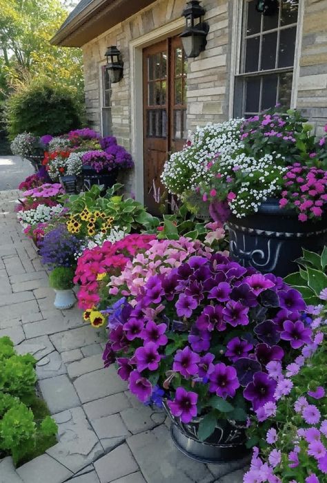 Porch Flowers, Front Garden Landscape, Garden Flower Beds, Flower Bed Ideas, Flower Garden Design, Diy Backyard Landscaping, Flower Landscape, Beautiful Flowers Garden, Bed Ideas