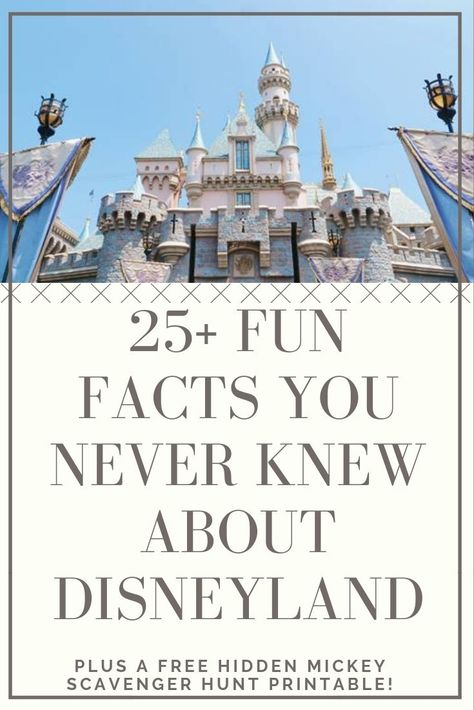 Disneyland Fun Facts, Disneyland Facts, Disney World Facts, Hotels Near Disneyland, Disney Trip Surprise, Disneyland Ca, Disneyland Secrets, Disneyland California Adventure, Disneyland Tickets