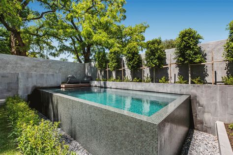 Neptune Swimming Pools Project 2 - Melbourne Pool and Outdoor Design Courtyard Pools, Infinity Pool Backyard, Tiny Pool, Raised Pools, Lone Rider, Courtyard Pool, Infinity Pools, Small Swimming Pools, Pool Backyard