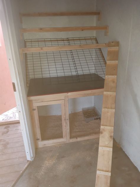 Chicken Perches, Chicken Coop Pallets, Chicken Roost, Cute Chicken Coops, Easy Chicken Coop, Chicken Coop Garden, Chicken Nesting Boxes, Backyard Chicken Coop Plans, Diy Chicken Coop Plans