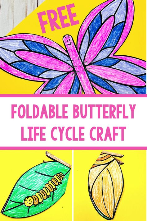 Are your students learning about the life cycle of a butterfly? If so, this printable butterfly life cycle worksheet is a fun activity for kids. The foldable page shows all four stages of the life cycle: eggs, caterpillar, chrysalis, and butterfly. Color it in, cut it out, and fold it on the lines. It's an easy way to show how butterflies grow and change as they go through metamorphosis. There are also recommendations for children's books about butterflies and other educational activities. Metamorphosis Preschool Activities, Butterfly Lifecycle Printable, Caterpillar To Butterfly Craft, Life Cycle Of A Butterfly Craft, Butterfly Projects For Kids, Life Cycle Crafts For Kids, Butterflies Kindergarten, Butterfly Life Cycle Foldable, Butterfly Life Cycle Project