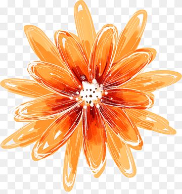 Orange Flowers Drawing, Orange Flowers Painting, Orange Oil Painting, Oil Painting Orange, Flower Painting Watercolor, Flower Png Images, Painting Orange, Orange Painting, Book Of Shadow