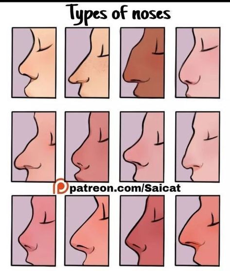 Types Of Noses, الفن الرقمي, 얼굴 드로잉, Nose Drawing, Smink Inspiration, Cool Pencil Drawings, Drawing Expressions, Poses References, Wow Art