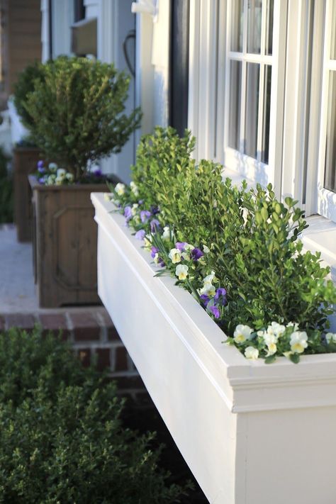 Front Yards Diy, Window Boxes Diy, Front Yards Curb Appeal, Diy Curb Appeal, Diy Flower Boxes, Yard Diy, Concrete Patios, Window Box Flowers, Window Planters