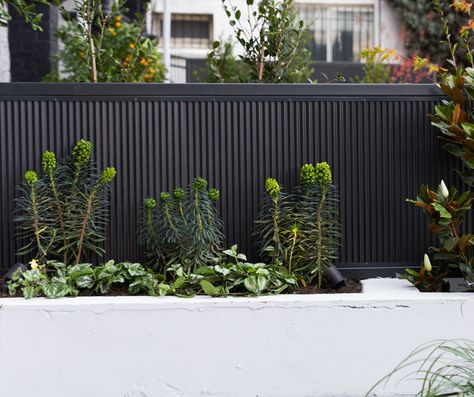 Monument Colourbond Fence, Colourbond Fence Screening Ideas, Monument Fence, Planter Box Designs, Garden Screens, Garden Tropical, California Bungalow, Front Fence, Fencing & Gates