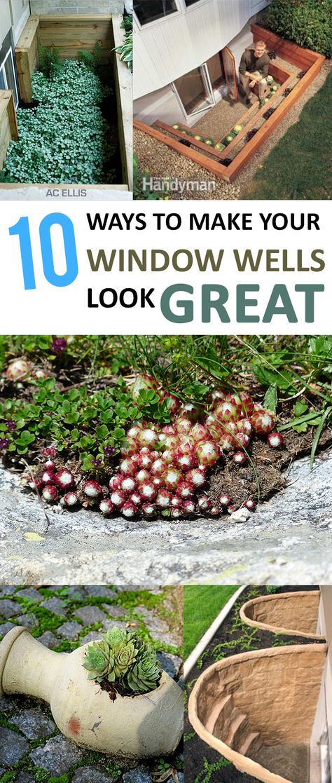 Turn your drab window wells into the focal point of your yard. Window Well Plants, Window Well Decorating Ideas Plants, Egress Window Well, Basement Window Well, Well Ideas, Window Wells, Window Well Cover, Home Improvement Diy, Easy Home Improvement Projects