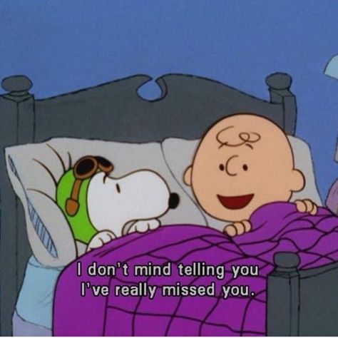 17 Wholesome Photos to Remind You That Life is Beautiful. Snoopy Sleep, Charly Brown, Charlie Brown Quotes, Baby Snoopy, Snoopy Images, Flying Ace, Snoopy Quotes, Snoopy Pictures, Snoopy Love