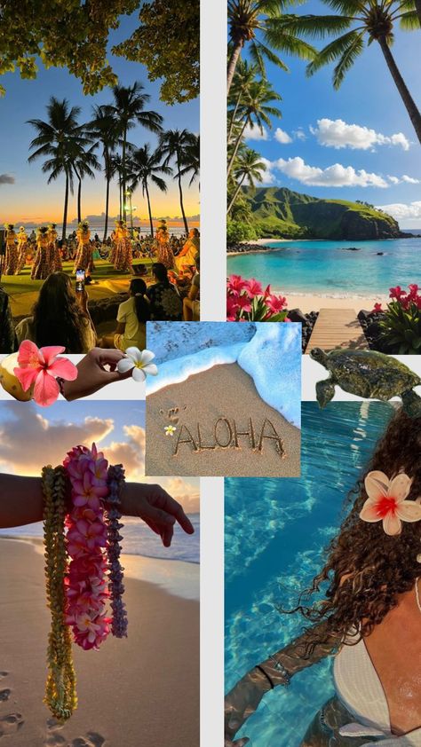 #hawaii #hawaiiaesthetic #flower #aloha Vision Board Hawaii, Asethic Lifestyle, Hawaii Vacation Aesthetic, Hawi Hawaii, Hawaiian Pictures, Traveling Hawaii, Summer In Hawaii, Hawaii Aesthetic, Hawaii Christmas