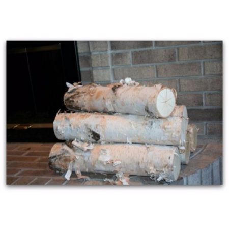 Free Shipping. Buy Large Fireplace White Birch Logs (5 logs) 20" long x 3-5" diameter at Walmart.com Fireplace Filler, Empty Fireplace Ideas, Scandinavian Fireplace, Fireplace White, Vented Gas Fireplace, Electric Fireplace With Mantel, Large Fireplace, Birch Logs, Fireplace Logs