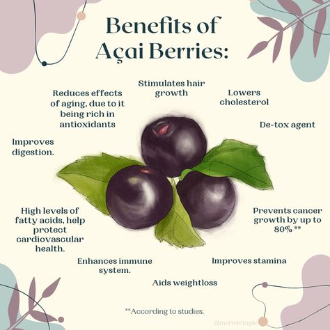 Açaí Benefits, Acai Powder Benefits, Acai Bowl Benefits, Açai Smoothie, Acai Berry Benefits, Benefits Of Acai, Eat To Beat Disease, Berry Benefits, Herbal Nutrition