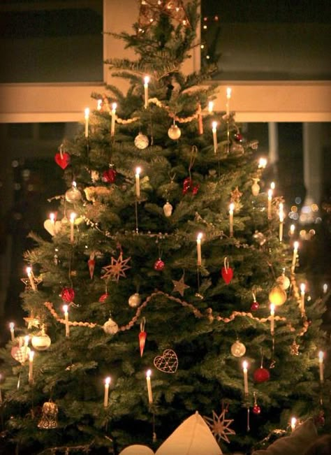 This tree looks a lot like ours, we put real candles on it every year Old Fashion Christmas Tree, Norwegian Christmas, Pink And Black Christmas Tree, Pink And Black Christmas, Dark Christmas, Gifts Drawing, Christmas Tree Candles, Black Christmas Tree, Cosy Christmas