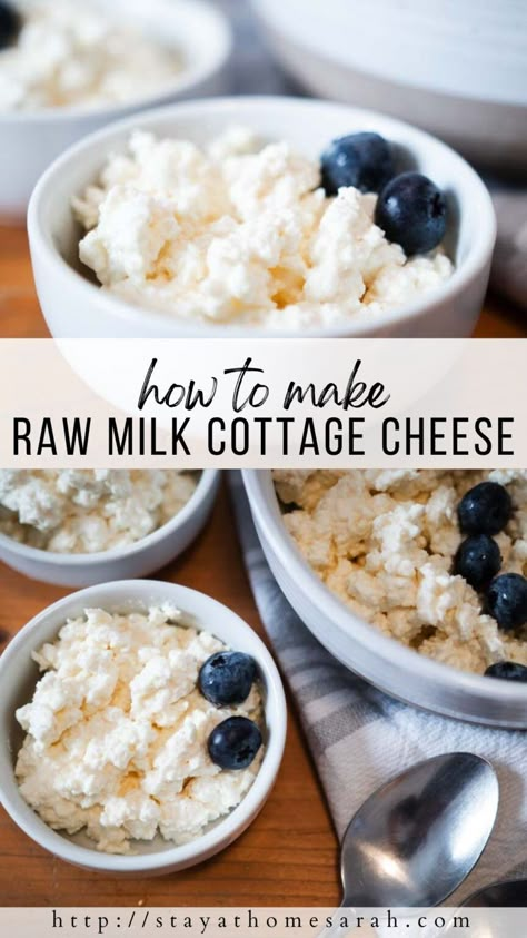 How to Make Homemade Raw Milk Cottage Cheese - Stay at Home Sarah Making Cottage Cheese At Home, Fresh Milk Recipes, What To Do With Extra Milk, Diy Cottage Cheese, How To Make Cottage Cheese, Make Cottage Cheese, Homemade Cottage Cheese, Raw Dairy, Cheese Press