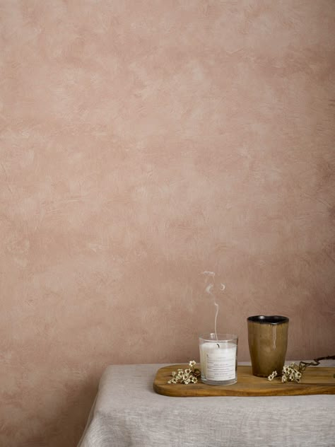 Craig And Rose Paint, Terracotta Living Room, Lime Wash Walls, Limewash Walls, Terracotta Paint, Murs Roses, Kitchen Cupboards Paint, Concrete Effect Paint, Inspiration Journal