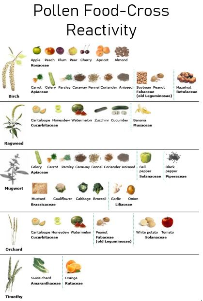 Oral Allergy Syndrome - Windom Allergy, Asthma, Sinus Allergy Shots, Allergy Asthma, Pollen Allergies, White Potatoes, Food Therapy, Food O, A Banana, Food Allergies, Apple Pie