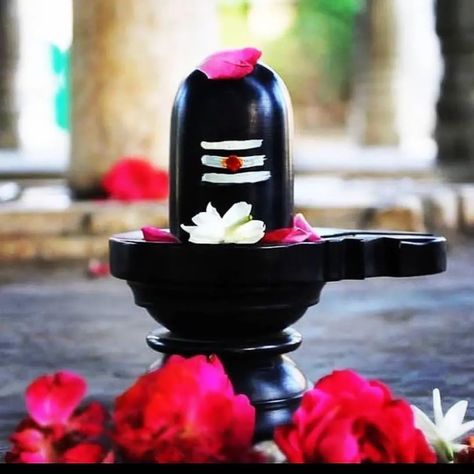 Shiva Lingam Pics, Shiva Linga Wallpaper, Shiv Adiyogi, Siva Lingam, Jagannatha Beautiful Images, Mere Mahadev, Pictures Of Shiva, Lord Siva, Shiva Linga