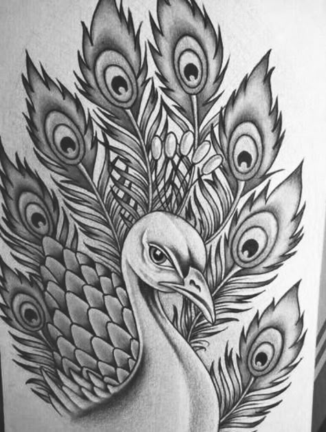 Girly Hand Tattoos, Peacock Sketch, Drawing Flames, Peacock Coloring Pages, Peacock Drawing, Mountain Tattoo Design, Peacock Tattoo, Easy Mandala Drawing, Peacock Wall Art