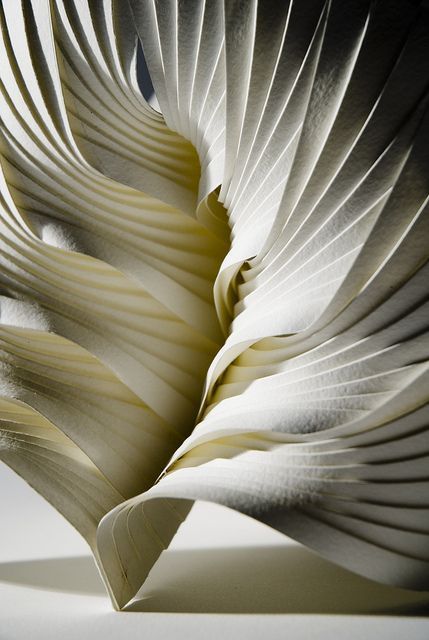 Multipleat (Leaf). Richard Sweeney Richard Sweeney, Architecture Origami, Sculpture Installation, Kirigami, Paper Sculpture, Abstract Paintings, Fractal Art, Art Sculpture, White Paper