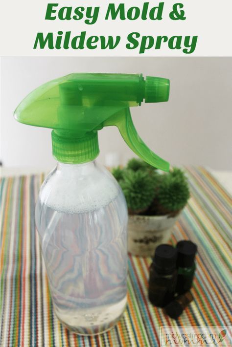 Mold And Mildew Remover, Mold Spray, Bathroom Green, Oregano Essential Oil, Mildew Remover, Homemade Cleaning Products, Natural Cleaners, Mold Remover, Household Cleaning Tips