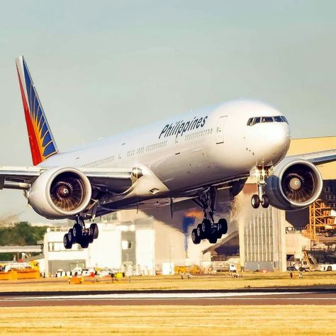 Philippine Airlines Aesthetic, Philippines Airlines, Philippine Airlines, Airplane Aesthetic, Airplane Wallpaper, Air Carrier, Emirates Airline, Airplane Photography, Film Pictures