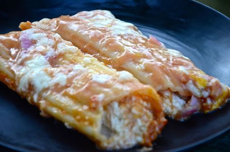 Mexican Manicotti, Chicken Manicotti, Mexican Casseroles, Manicotti Recipe, Avocado Chicken, Family Friendly Recipes, Mexican Chicken, Avocado Chicken Salad, Chicken Main Dishes