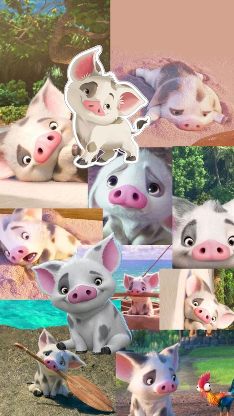 PUA FROM MOANA Pig From Moana Wallpaper, Pua From Moana, Moana Drawing, Disney Moana Art, Moana Pua, Disney Sidekicks, Moana Disney, Princess Moana, Flat Drawings