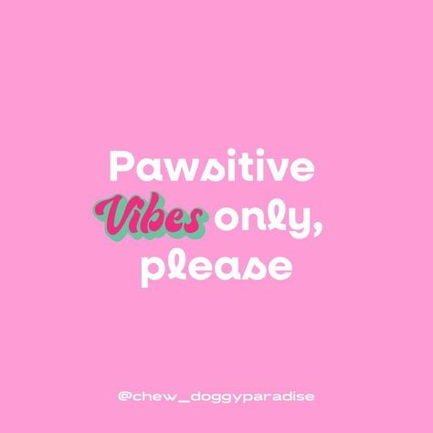 Pawsitive vibes 😊 Bus Quotes, Phrases Aesthetic, Dog Merch, Dogs Quotes, Cute Dog Quotes, Pawsitive Vibes, Mum Quotes, Dog Grooming Shop, Dog Grooming Salons