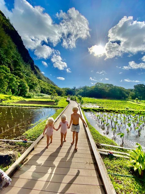 Go Haena Haena State Park Kauai, Anniversary Plans, Kauai Travel, Kauai Vacation, Excess Baggage, Have A Nice Trip, No Parking, Hawaii Five O, Airline Flights