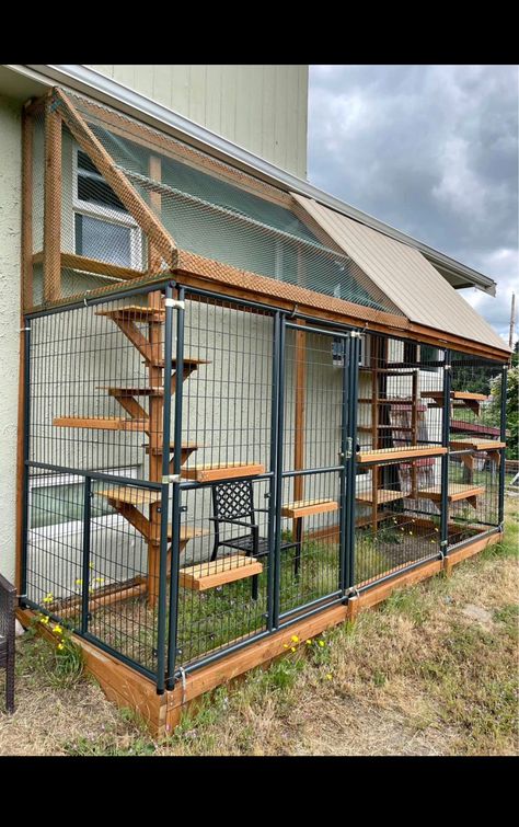 Hotel For Cats, Homemade Catio Ideas, Cat Cages Outdoor, Cat Room Outdoor, Catios Ideas For Cats, Outdoor Pet Enclosure, Cat Bedroom, Cat Fence, Cat Patio