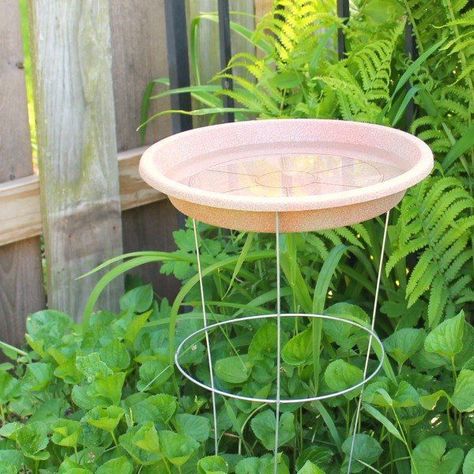 For a long time I've wanted a bird bath in my garden but didn't want to spend a lot of money buying one. I finally solved that problem with a frugal DIY solution that only needed a couple of supplies: a tomato cage and a flower pot saucer! I was able to purchase both of these items at my local home improvement store for less than $6 total. I used a 33" tomato cage and a 12" poly saucer. To spruce up my bird bath just a little bit, I gave the saucer a light coat of a spray paint that gi… Bird Baths Homemade, Filter Hacks, Tomato Cage Crafts, Cage Bird, Diy Bird Bath, Tomato Cages, Diy Birds, Side Garden, Bird Supplies