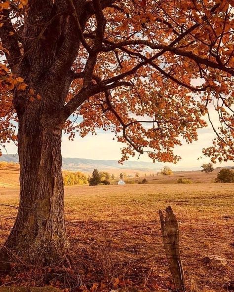 Autumn Gardening, Autumn Farm, October Aesthetic, Hello October, Fall Country, Country Lifestyle, Fall Garden, Autumn Scenery, Best Seasons