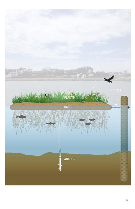 Floating Wetland, Urban Design Competition, Water Architecture, Floating Architecture, Booklet Printing, Floating Garden, Landscape Architecture Design, Urban Nature, Sustainable Architecture